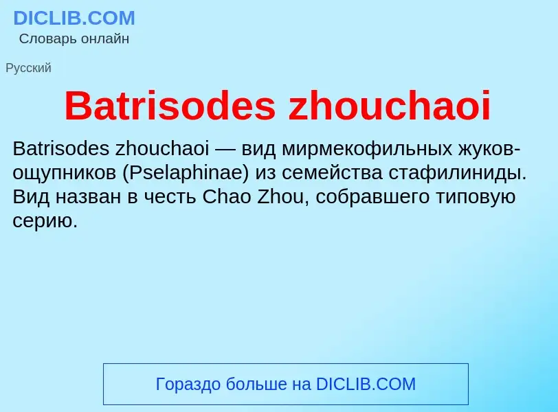 Τι είναι Batrisodes zhouchaoi - ορισμός