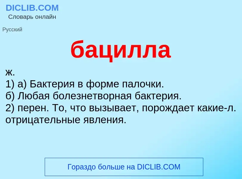 What is бацилла - definition