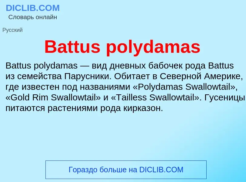 Τι είναι Battus polydamas - ορισμός