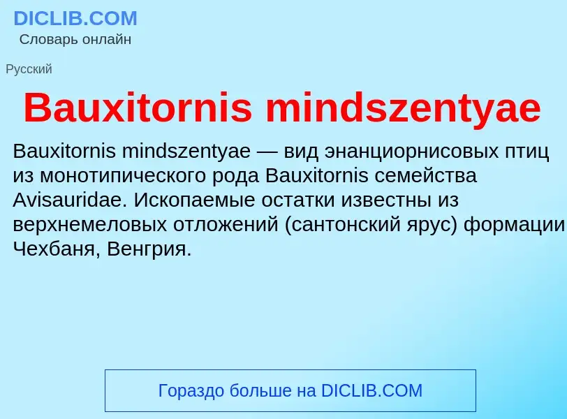 Τι είναι Bauxitornis mindszentyae - ορισμός