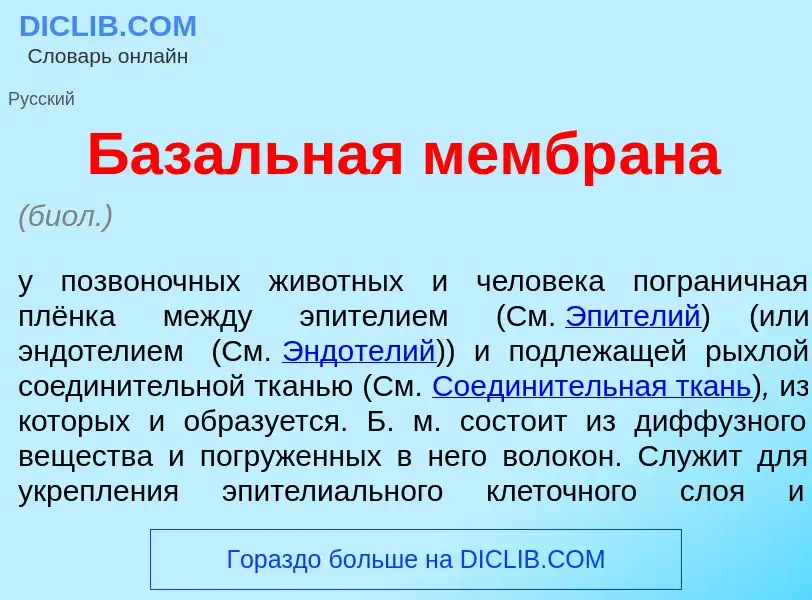 Qu'est-ce que Баз<font color="red">а</font>льная мембр<font color="red">а</font>на - définition