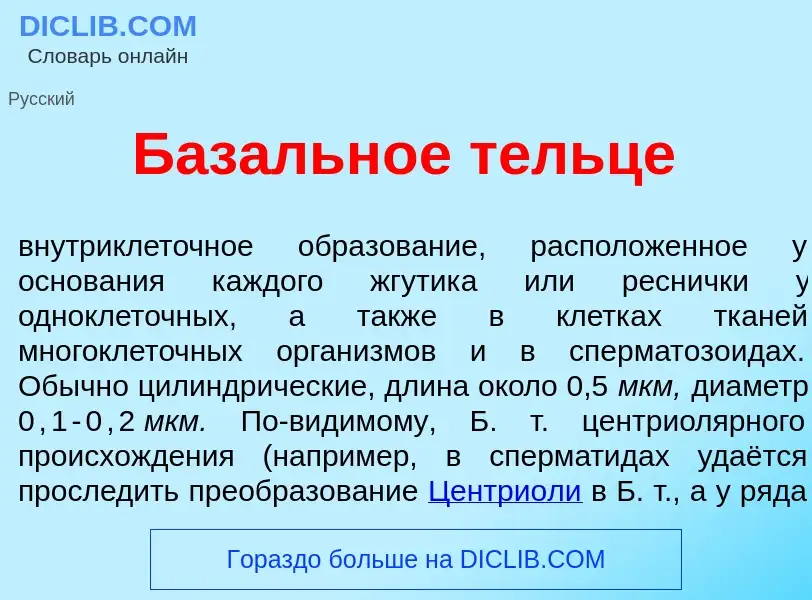 Wat is Баз<font color="red">а</font>льное т<font color="red">е</font>льце - definition