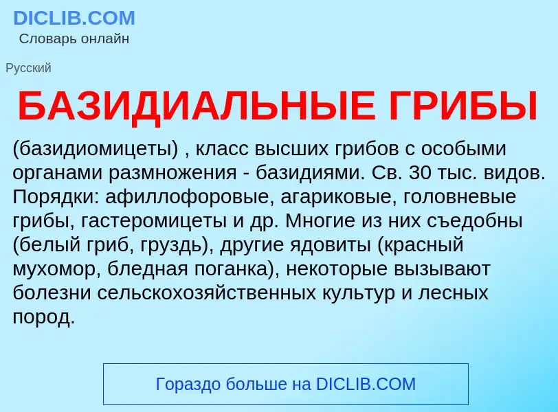 ¿Qué es БАЗИДИАЛЬНЫЕ ГРИБЫ? - significado y definición