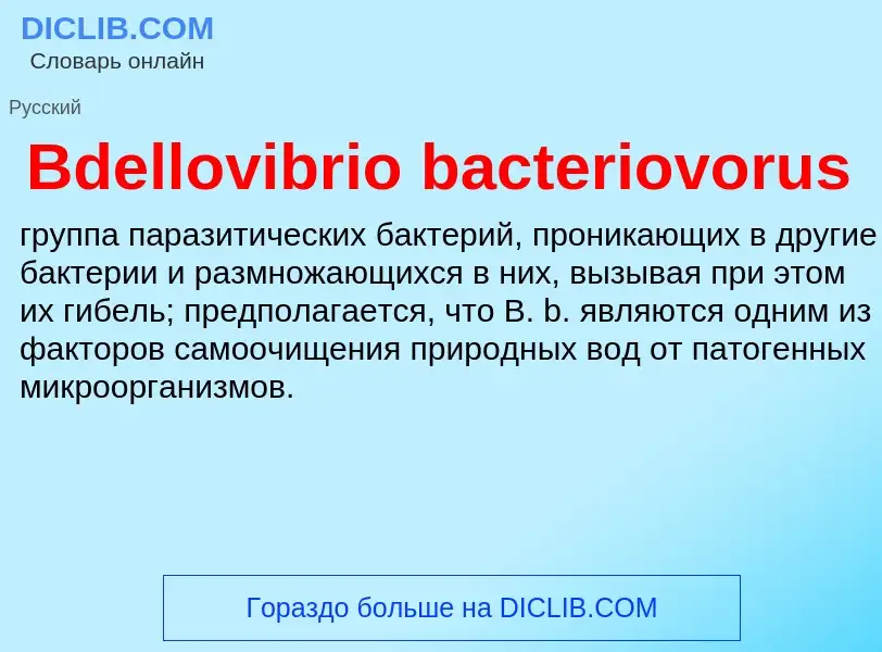 Τι είναι Bdellovibrio bacteriovorus - ορισμός