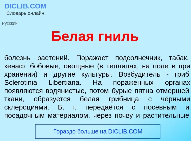 What is Б<font color="red">е</font>лая гниль - meaning and definition