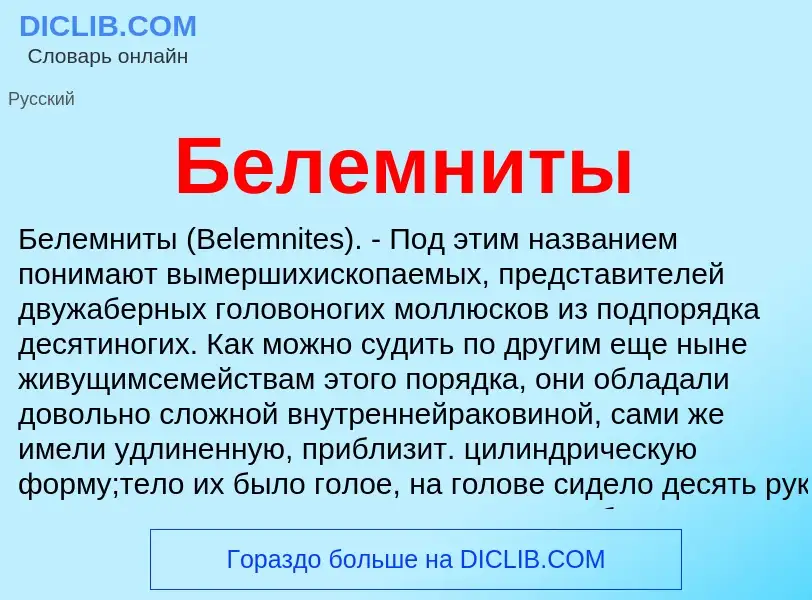 Was ist Белемниты - Definition