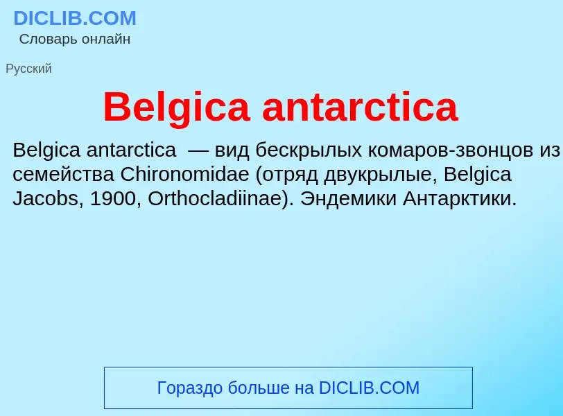 Τι είναι Belgica antarctica - ορισμός