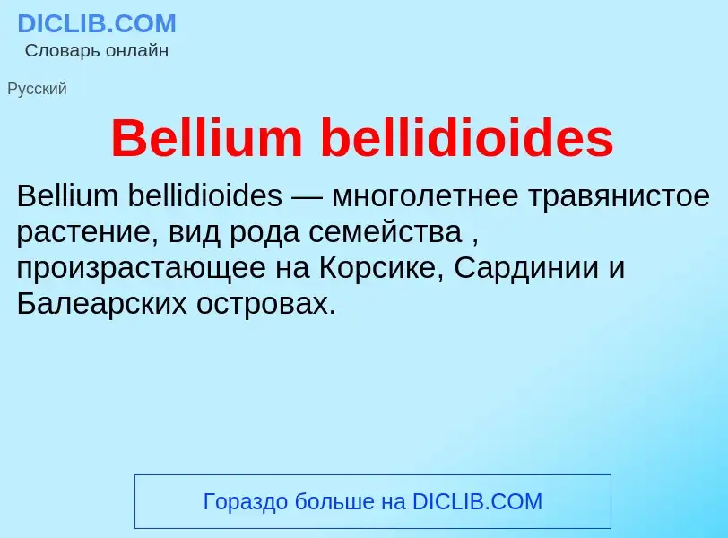 Τι είναι Bellium bellidioides - ορισμός