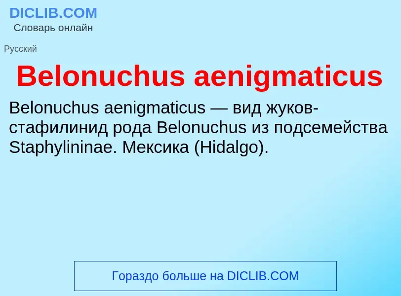 Τι είναι Belonuchus aenigmaticus - ορισμός