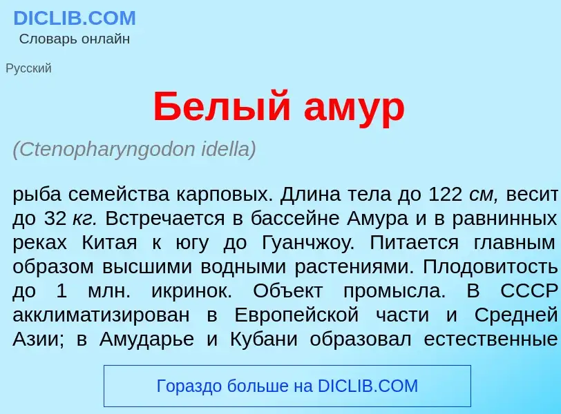 Что такое Б<font color="red">е</font>лый ам<font color="red">у</font>р - определение