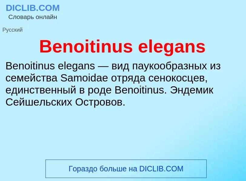 Τι είναι Benoitinus elegans - ορισμός