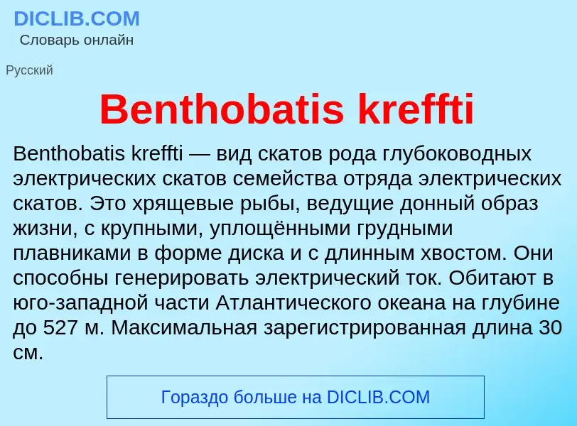 Τι είναι Benthobatis kreffti - ορισμός