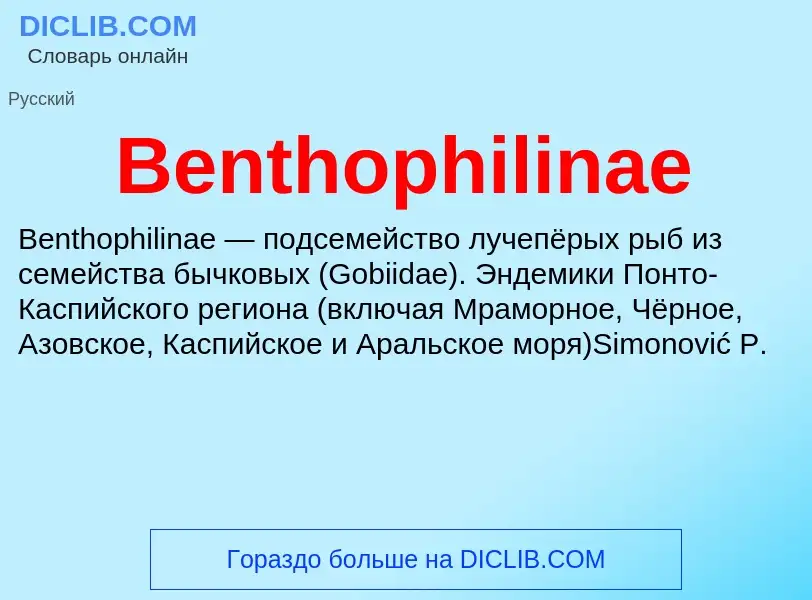 Τι είναι Benthophilinae - ορισμός