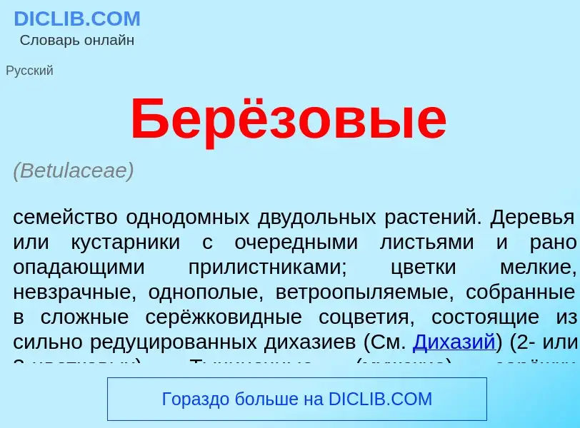 ¿Qué es Берёзовые? - significado y definición