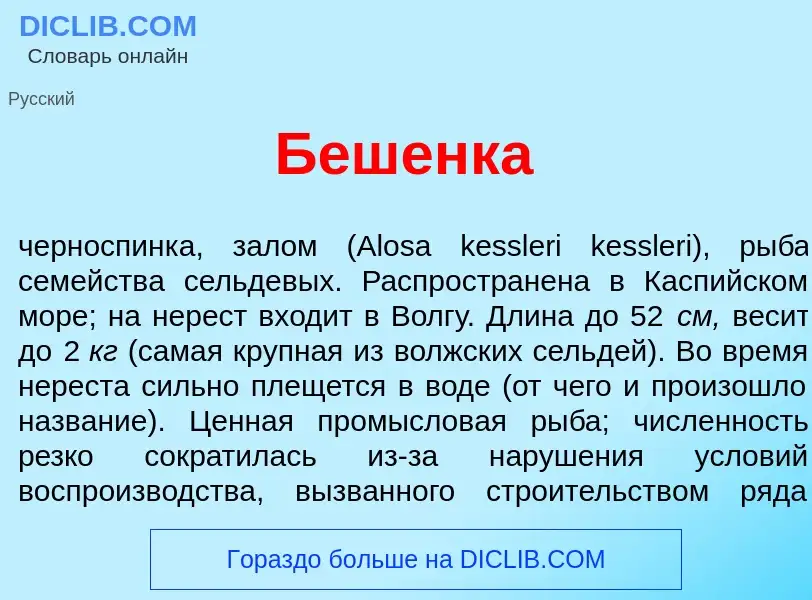 What is Б<font color="red">е</font>шенка - definition