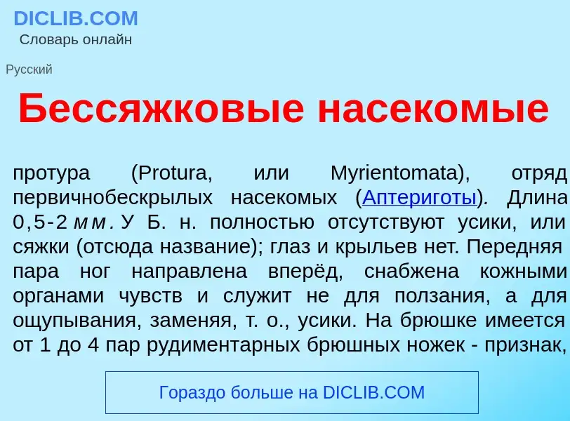 Что такое Бессяжк<font color="red">о</font>вые насек<font color="red">о</font>мые - определение