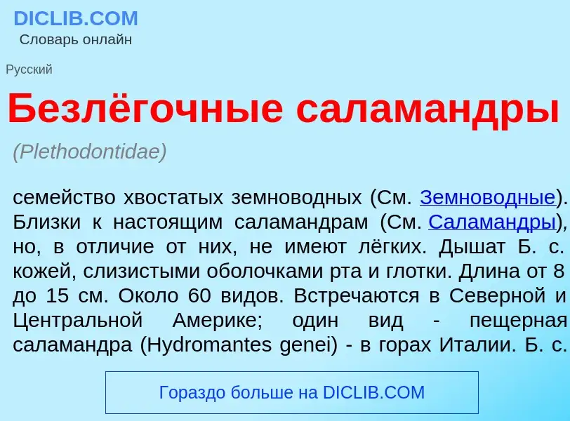 O que é Безлёгочные салам<font color="red">а</font>ндры - definição, significado, conceito