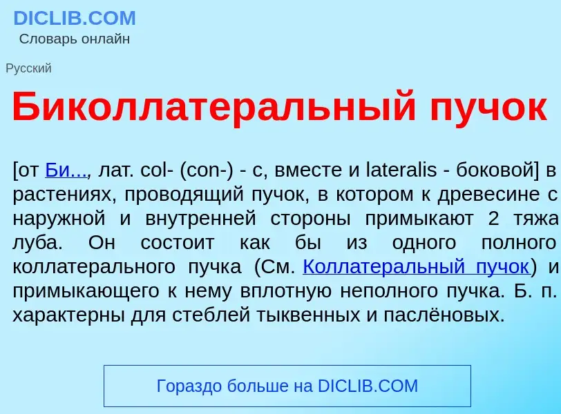 Qu'est-ce que Биколлатер<font color="red">а</font>льный пуч<font color="red">о</font>к - définition