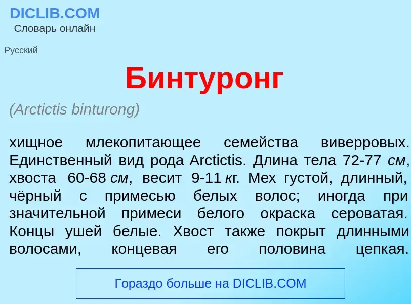 Что такое Бинтур<font color="red">о</font>нг - определение