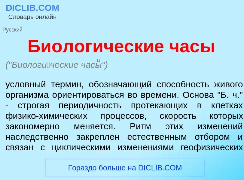 Что такое Биолог<font color="red">и</font>ческие час<font color="red">ы</font> - определение