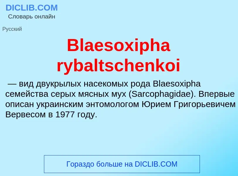 What is Blaesoxipha rybaltschenkoi - meaning and definition