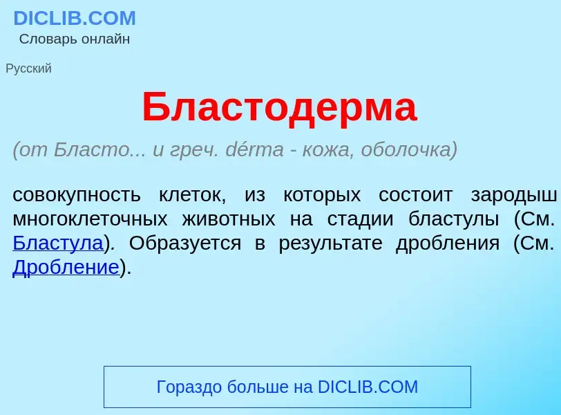 Что такое Бластод<font color="red">е</font>рма - определение