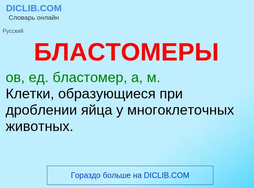 O que é БЛАСТОМЕРЫ - definição, significado, conceito