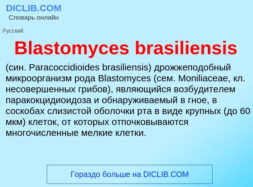 What is Blastomyces brasiliensis  - meaning and definition