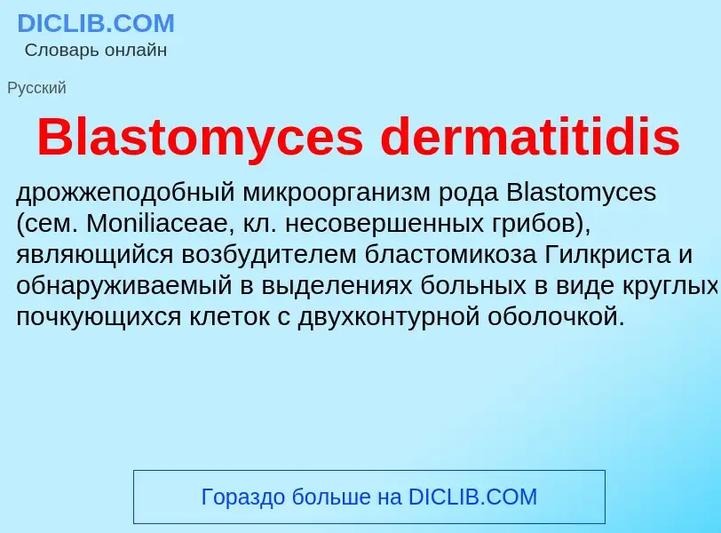 What is Blastomyces dermatitidis - meaning and definition