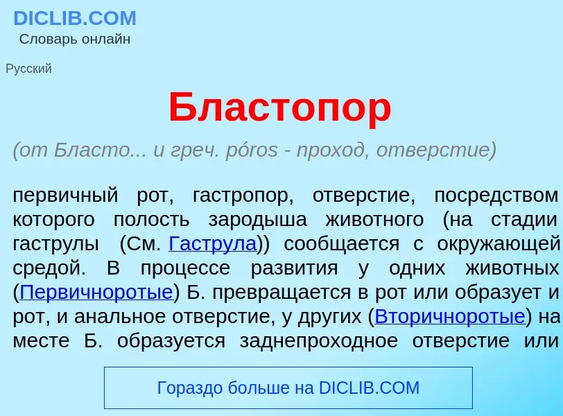 What is Бластоп<font color="red">о</font>р - meaning and definition