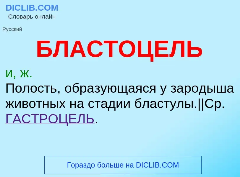 O que é БЛАСТОЦЕЛЬ - definição, significado, conceito