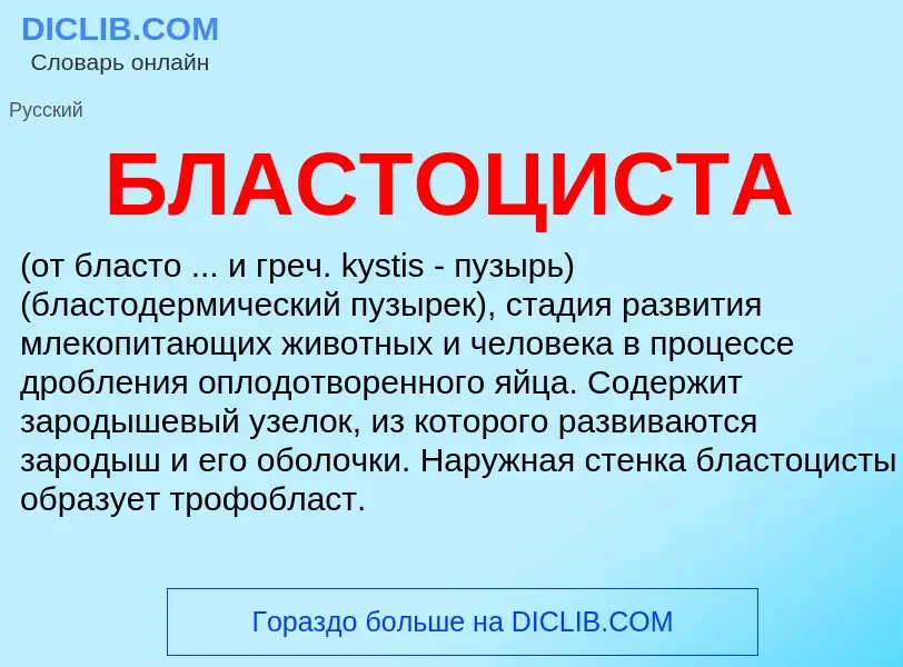 What is БЛАСТОЦИСТА - meaning and definition