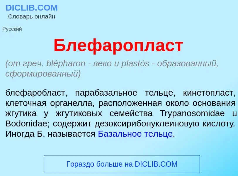 Che cos'è Блефаропл<font color="red">а</font>ст - definizione