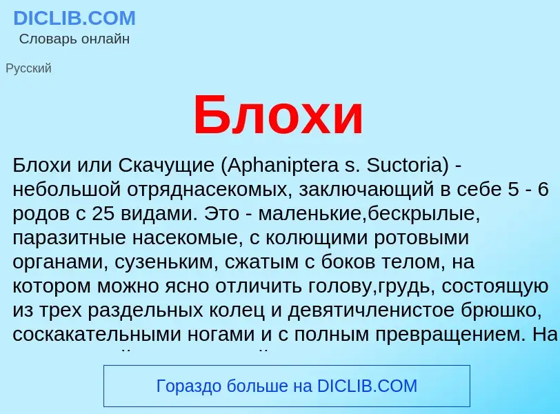 What is Блохи - definition