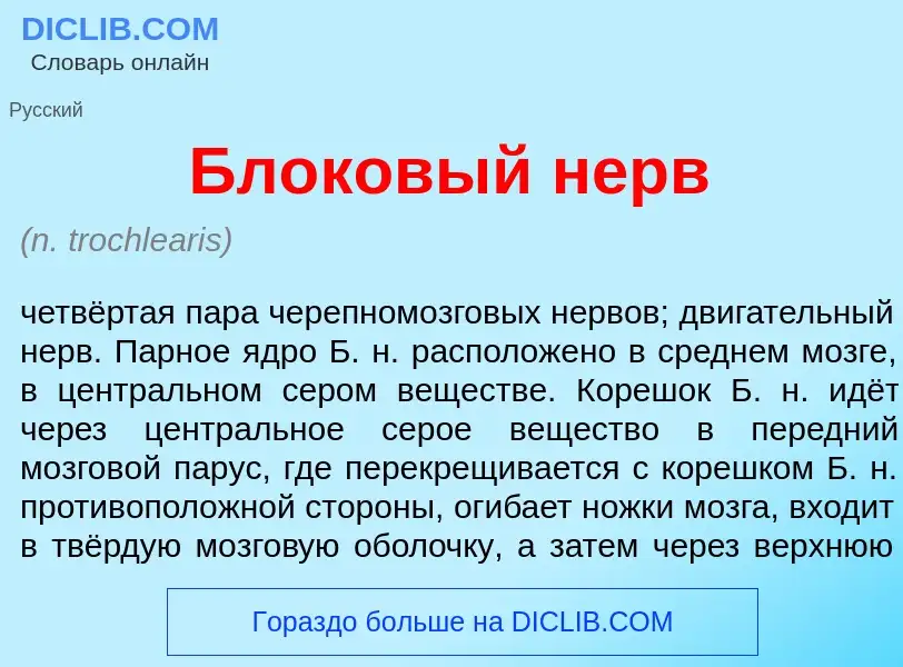 Что такое Бл<font color="red">о</font>ковый нерв - определение