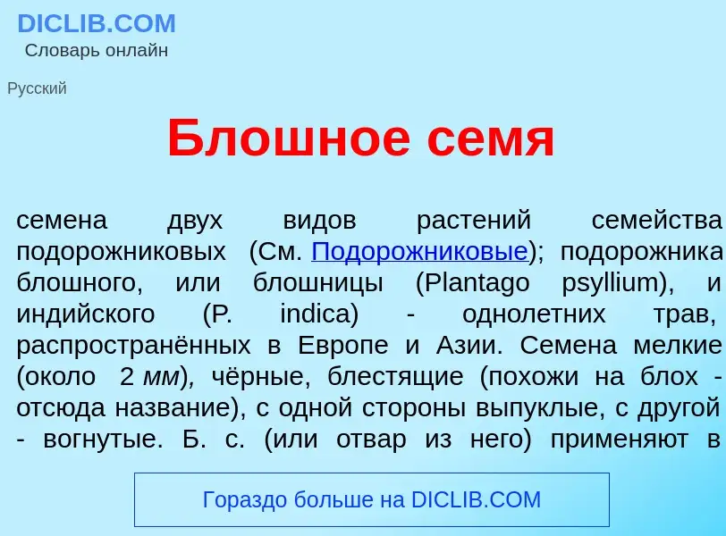 Что такое Бл<font color="red">о</font>шное с<font color="red">е</font>мя - определение