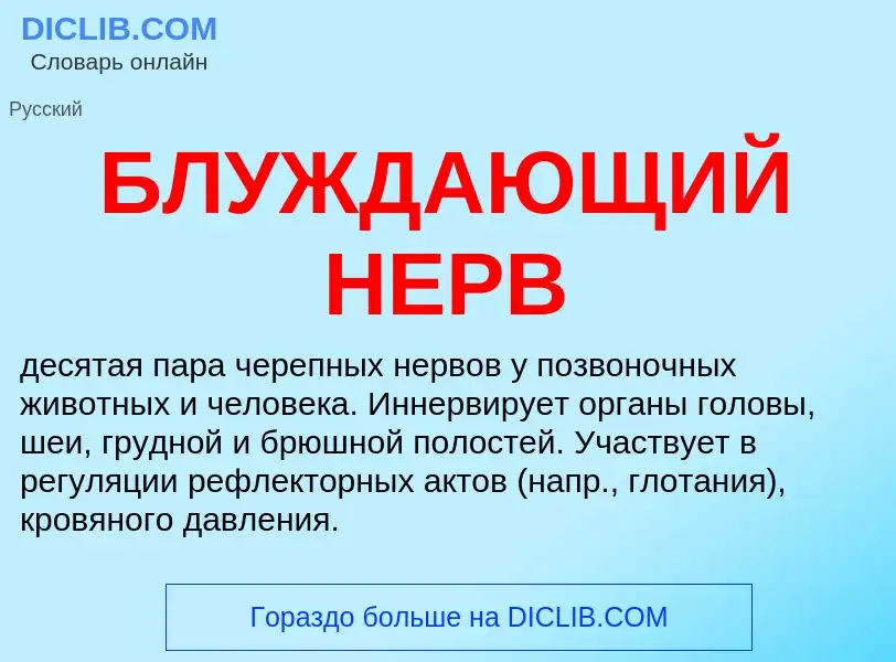 Что такое БЛУЖДАЮЩИЙ НЕРВ - определение