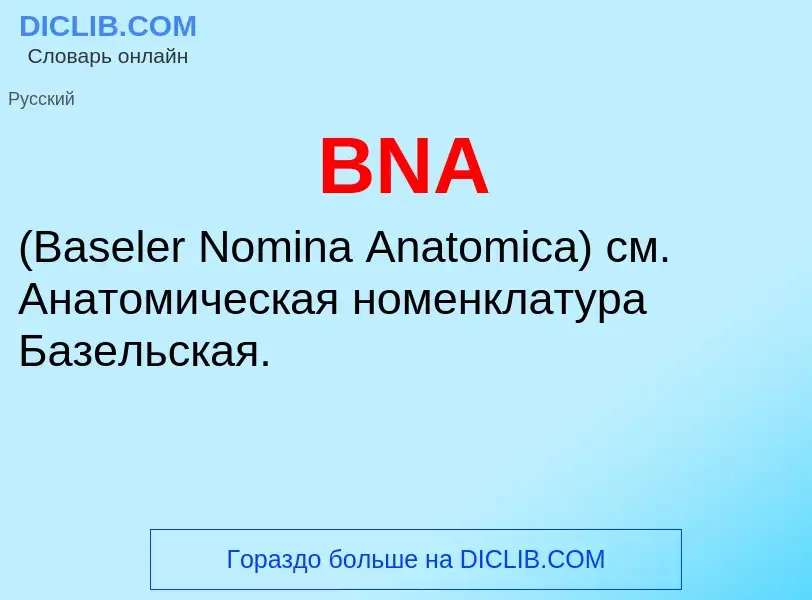 Что такое BNA  - определение