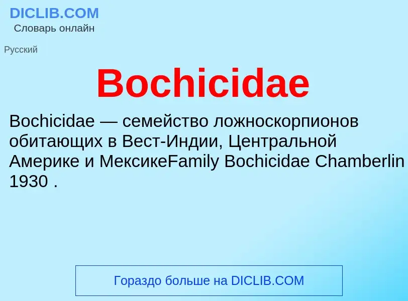 What is Bochicidae - meaning and definition