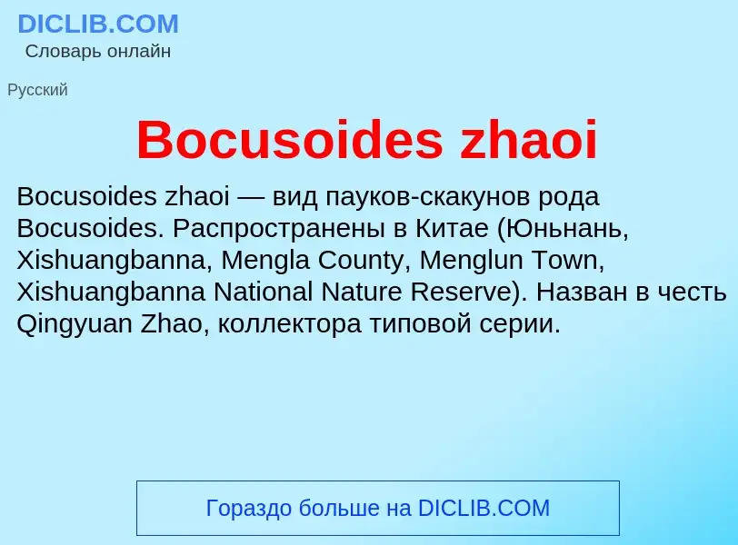 What is Bocusoides zhaoi - meaning and definition