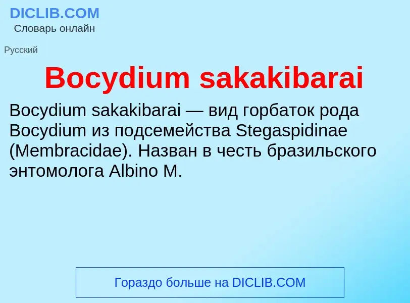 What is Bocydium sakakibarai - meaning and definition