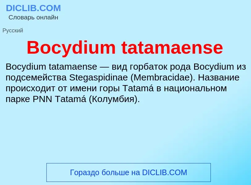 Was ist Bocydium tatamaense - Definition