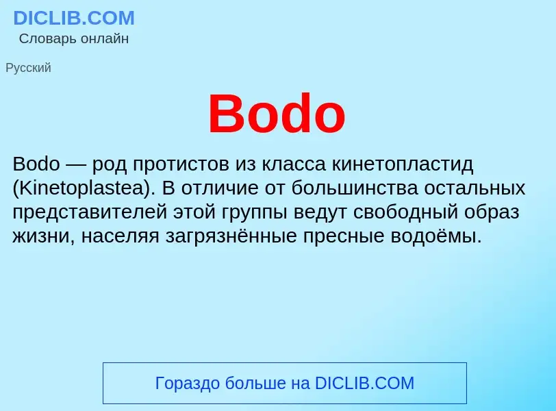 What is Bodo - meaning and definition