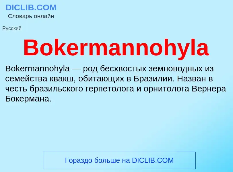 What is Bokermannohyla - meaning and definition