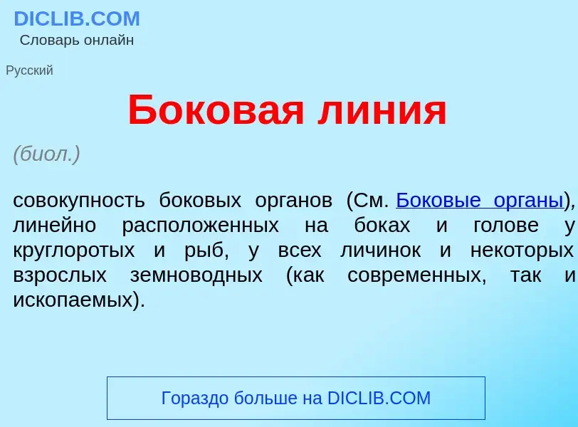 What is Боков<font color="red">а</font>я л<font color="red">и</font>ния - meaning and definition