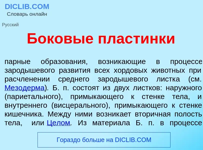 Что такое Боков<font color="red">ы</font>е пласт<font color="red">и</font>нки - определение