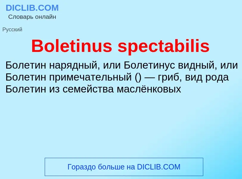 What is Boletinus spectabilis - meaning and definition