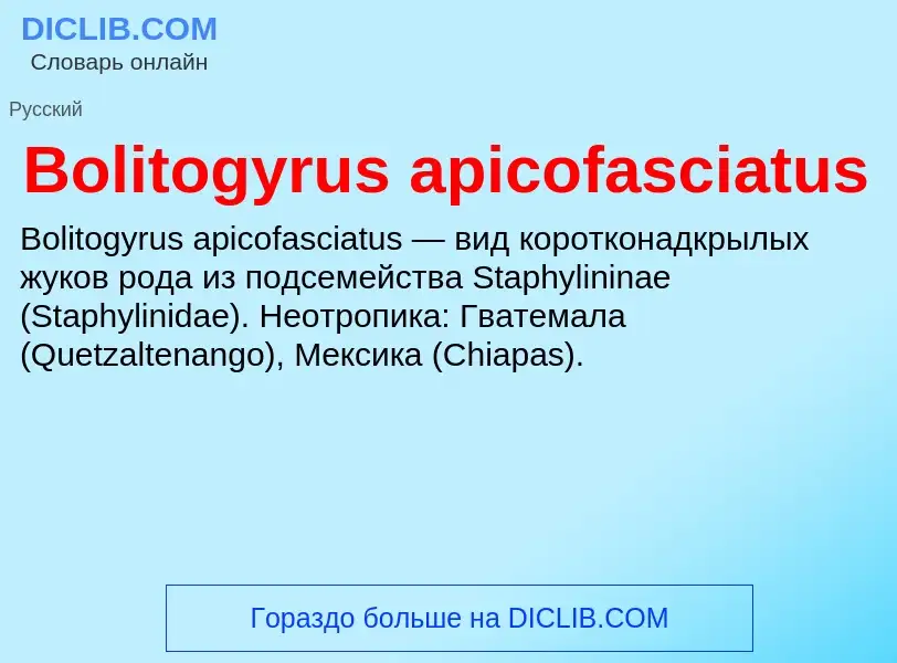 What is Bolitogyrus apicofasciatus - meaning and definition