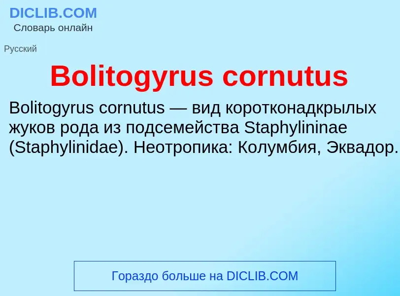 What is Bolitogyrus cornutus - meaning and definition