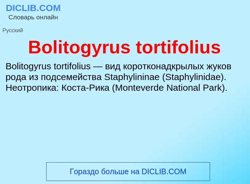 What is Bolitogyrus tortifolius - meaning and definition